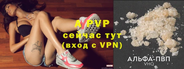 молекула духа Медвежьегорск