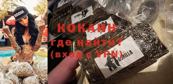 молекула духа Медвежьегорск