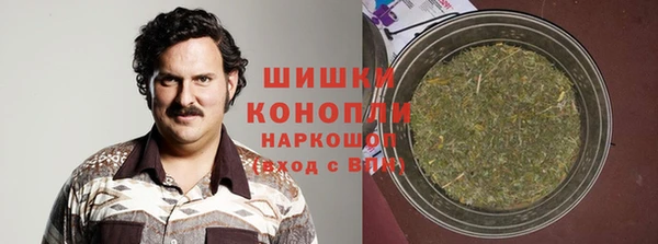 МДПВ Михайлов