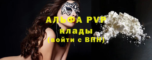 молекула духа Медвежьегорск