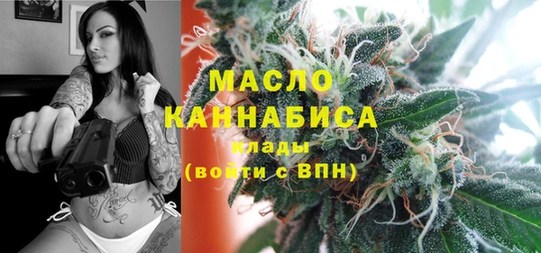 МДПВ Михайлов