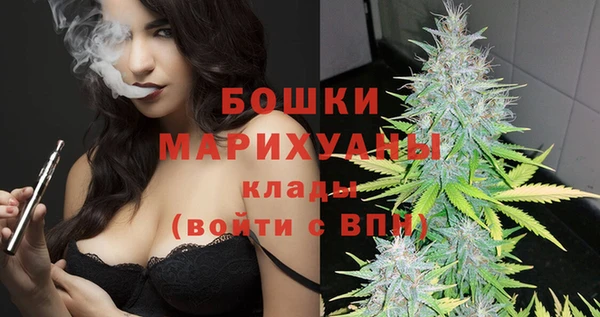 МДПВ Михайлов