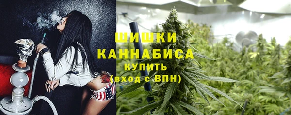 МДПВ Михайлов