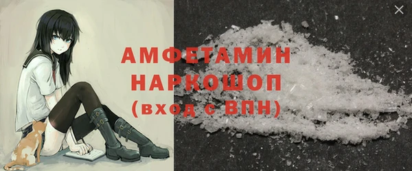 молекула духа Медвежьегорск