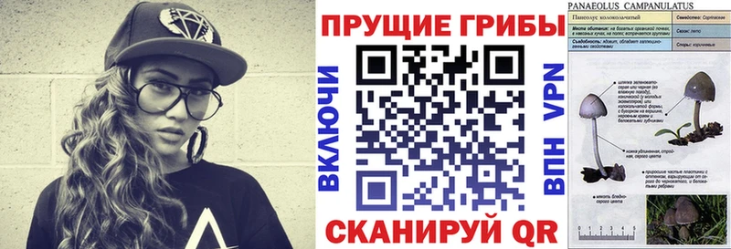Псилоцибиновые грибы Magic Shrooms  маркетплейс формула  Усмань  гидра ссылка 